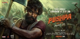 Pushpa: The Rise