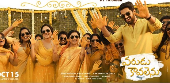 Varudu Kaavalenu Movie Poster