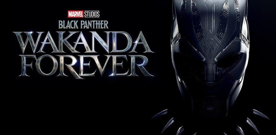 Black Panther: Wakanda Forever Movie Poster