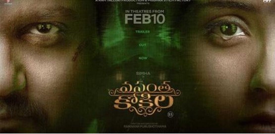 Vasantha Kokila Movie Poster