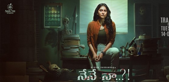 Nene Naa Movie Poster
